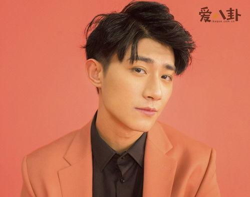 快手网红黑泽黑料,黑料背后的真相与反思