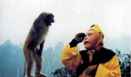 网红小猴子黑料是真的吗,是真是假?