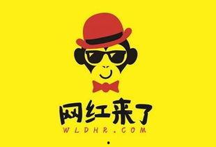 网红小新反差黑料,网红小新的反差人生揭秘